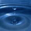 Are You a Crier or a Doer? Are You a Crier or a Doer?